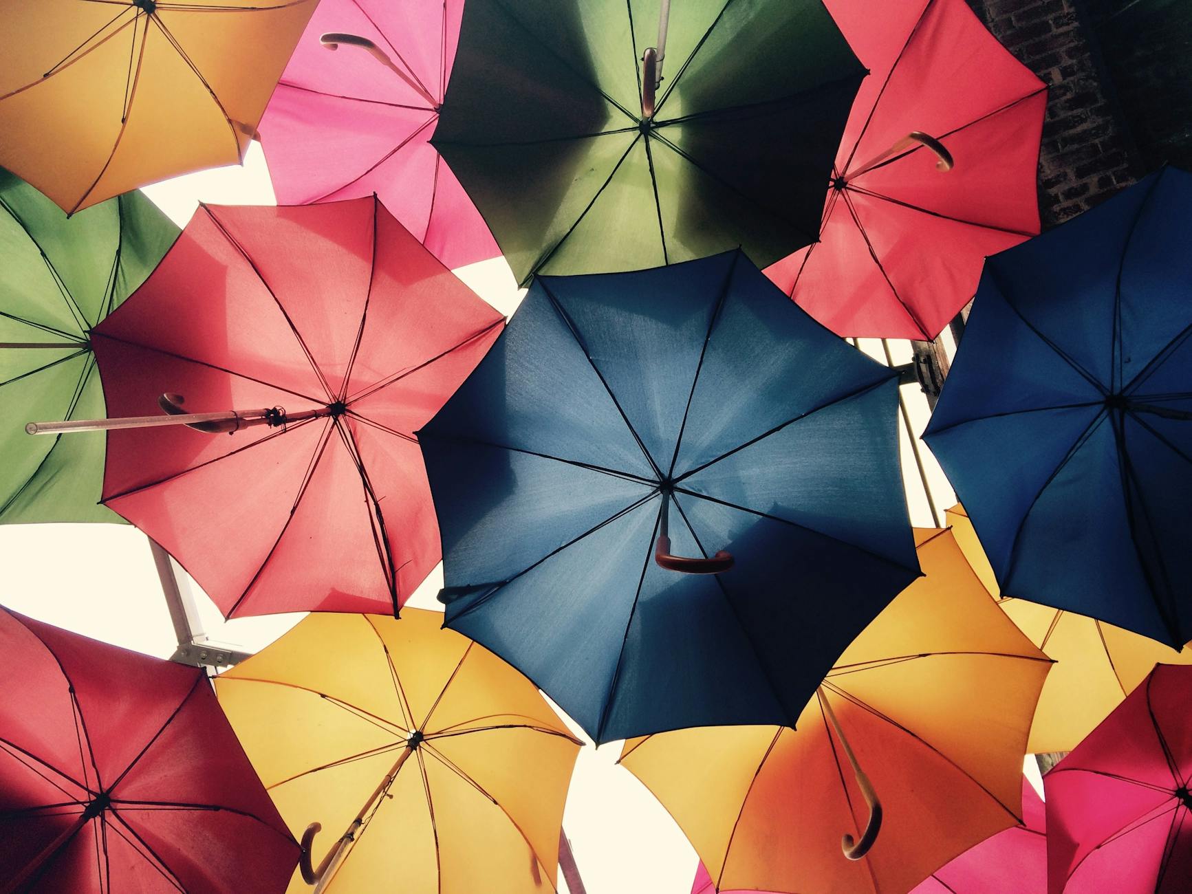 Understanding the Ins and Outs of Insurance in the UK
